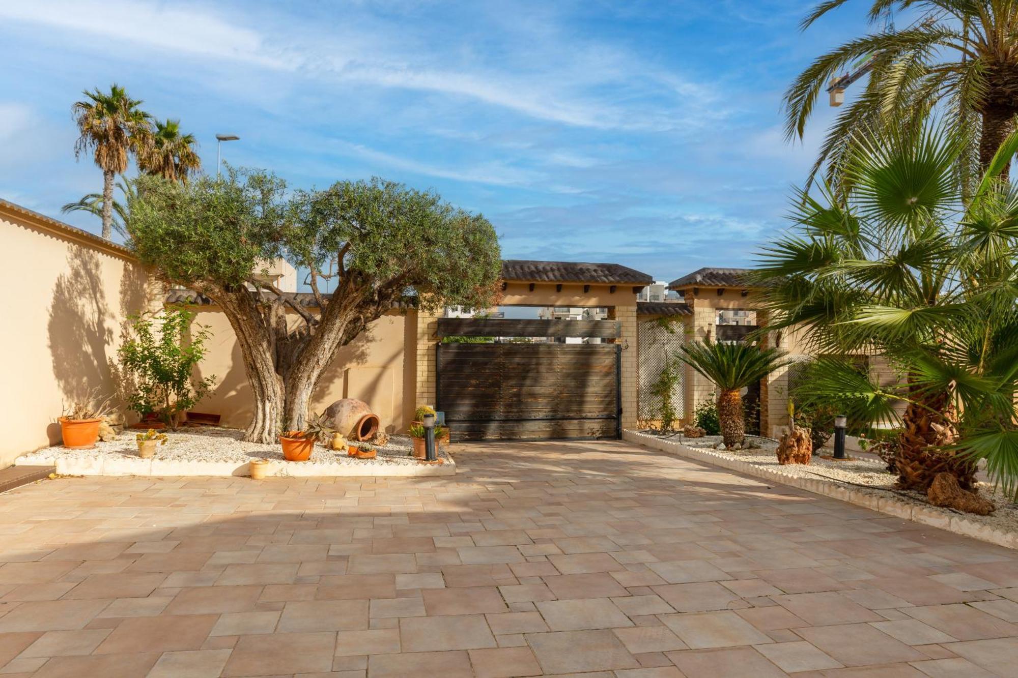 Paradise Palms By Fidalsa Dehesa de Campoamor  Exterior photo